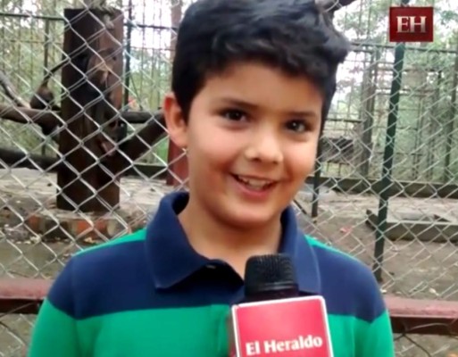 Saludo a los míos desde el parque de las Naciones Unidas, El Picacho