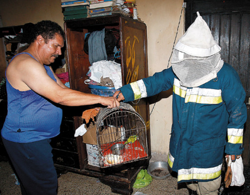 Enjambre de abejas ataca a familia