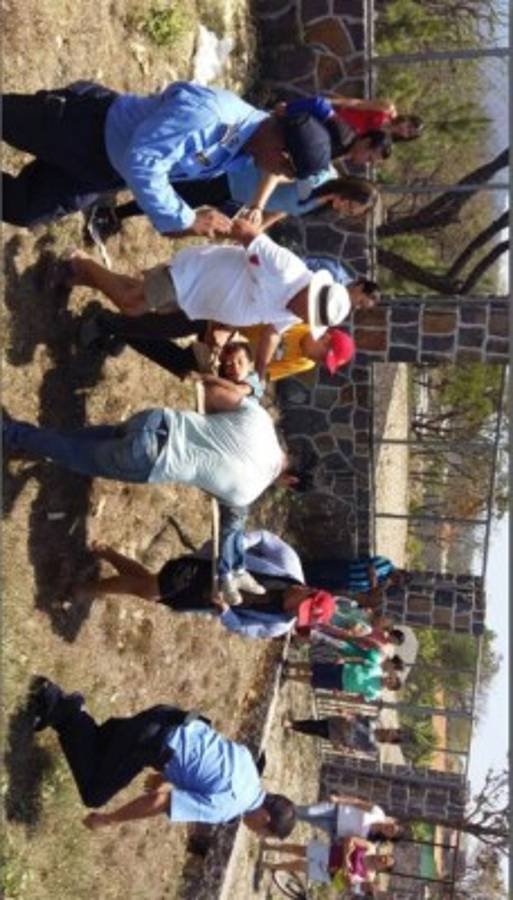 Gemelos pierden la vida en fatal accidente en la carretera al sur