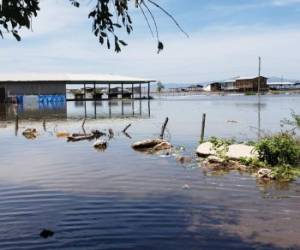 La cantidad de agua que permanece estancada puede desatar un brote de enfermedades y es urgente la intervención de Salud.