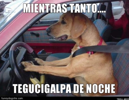 Los mejores memes de Tegucigalpa