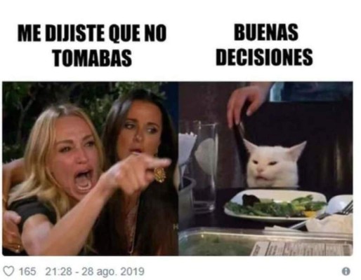 Memes virales de 2019: Gatos y el pollito amarillo entre los más compartidos