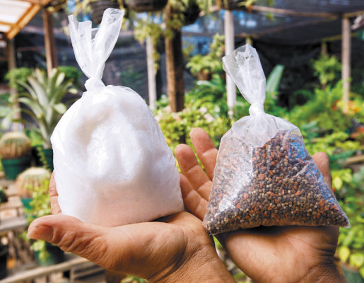 ¡A cuidar el jardín!