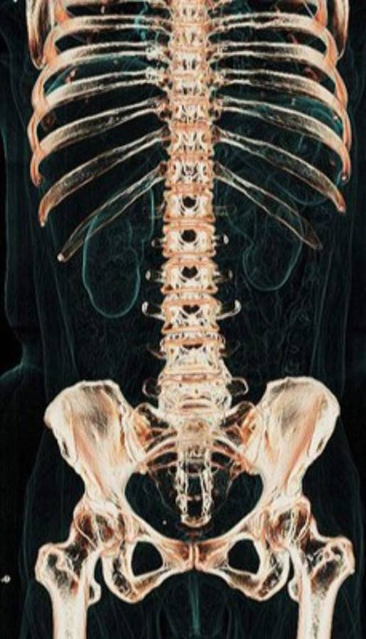 El cuerpo humano por dentro como nunca lo has visto