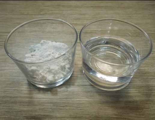 ¿Cómo eliminar las molestas hormigas con simples soluciones caseras?