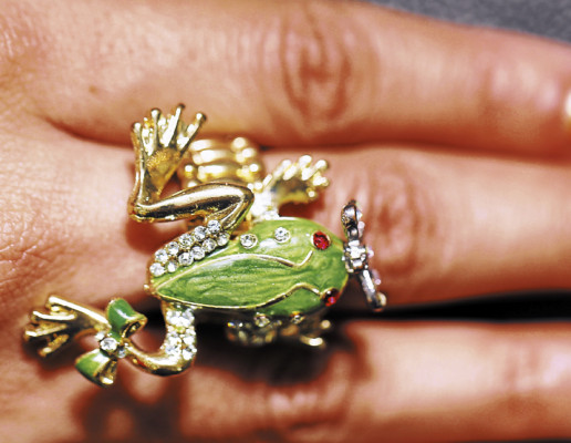 Animales al descubierto