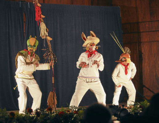 Un llamado a conservar el medio ambiente