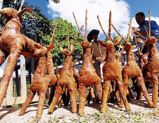 Productos del campo adornan la Navidad