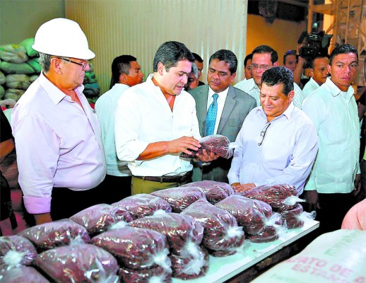 Hernández confirma intervención del IHMA