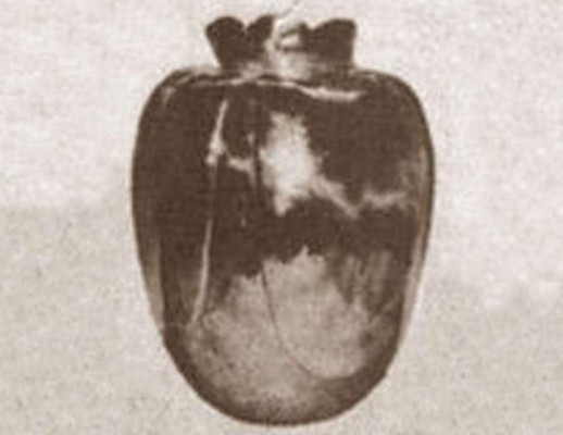 Los objetos malditos detrás de misteriosas muertes y desgracias