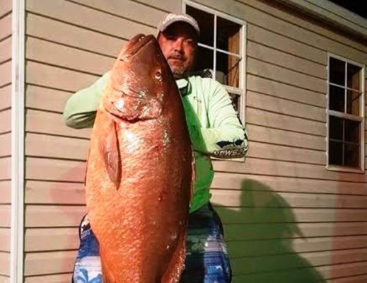 Honduras: Pescan pargo rojo de 200 libras en San Lorenzo