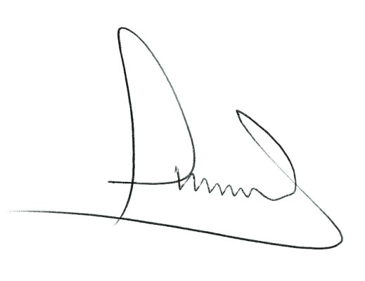 Cuando el reclamo se vuelve vandalismo