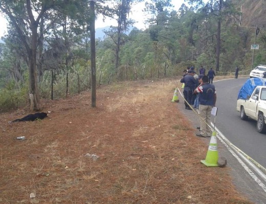 Hallan cadáver de mujer en carretera a Valle de Ángeles