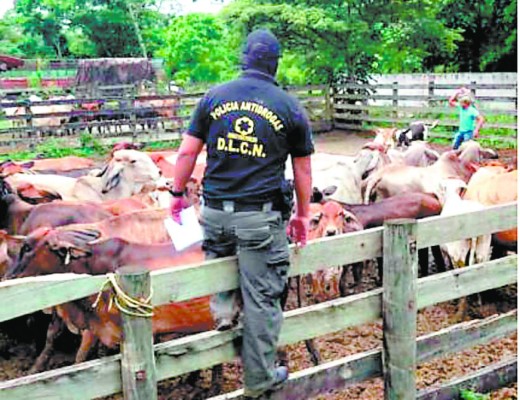 Juan Ramón Matta Waldurraga será sentenciado el 28 de marzo