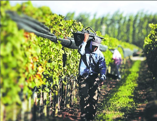 OIT: los países más pobres trabajan más&nbsp;&nbsp;