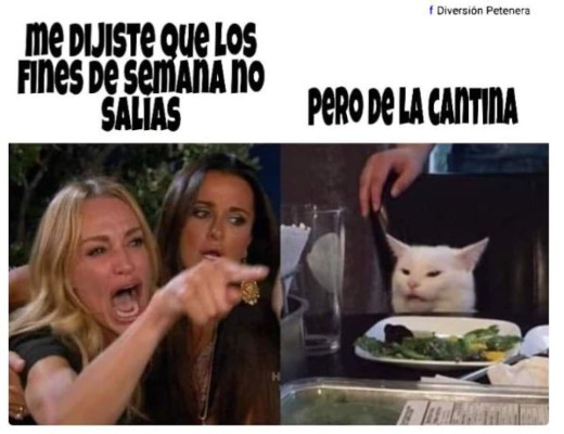 Los memes más graciosos del gato en la mesa y la mujer gritando