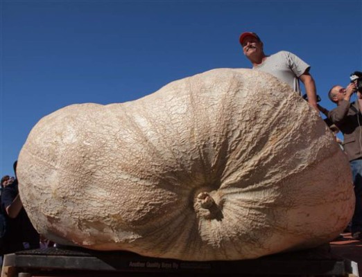 Calabaza gigante rompe nuevo récord