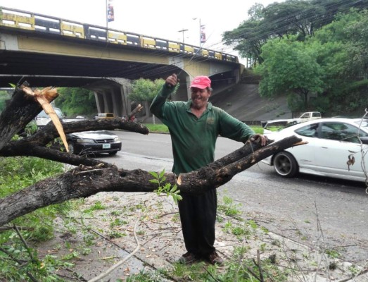 Honduras: Lluvias comienzan a dejar daños en distintos puntos del país