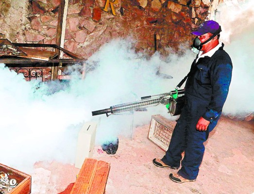 85 mujeres han fallecido a causa del dengue grave