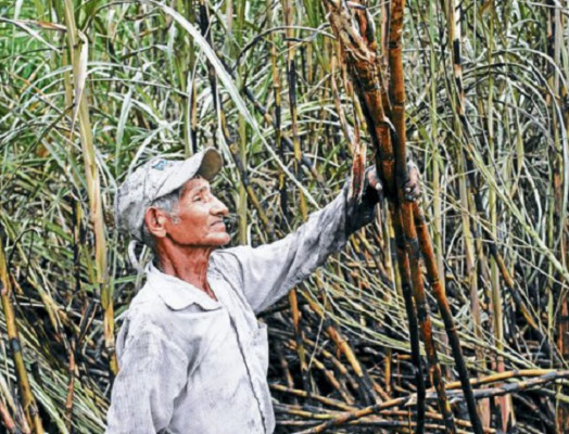 Fenagh denuncia intención de destruir la inversión privada