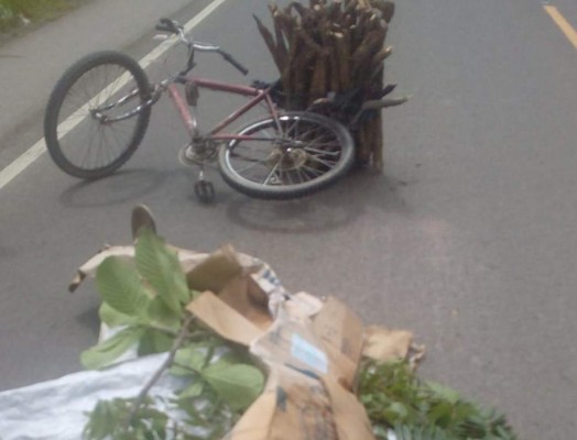 Matan a disparos a un hombre en carretera a Olancho