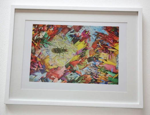 Los 'Territorios diáfanos” de Francisco Alvarado