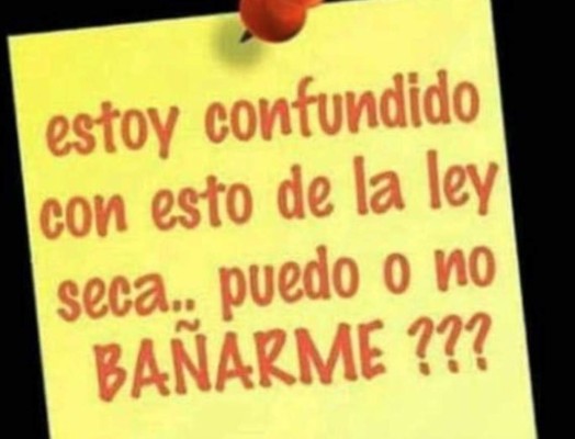 ¡A reír! Los mejores memes de este domingo de elecciones en México