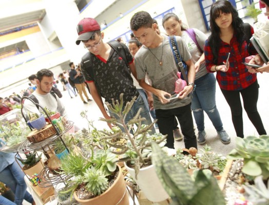 Elaboran productos y artículos a base de diversas especies de plantas útiles