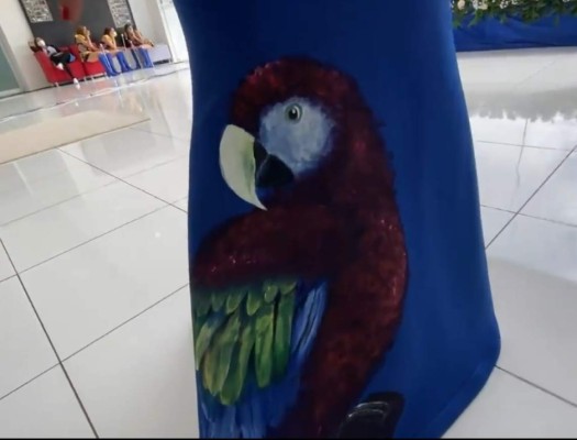 La curiosa historia detrás del vestido de Milagro Flores en el Bicentenario