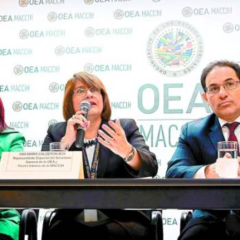 <div id='DTElementID-688925' class='QuickRead'><p>El requerimiento del caso Pandora indica que hasta 700 plantas compró uno de los implicados</p></div>