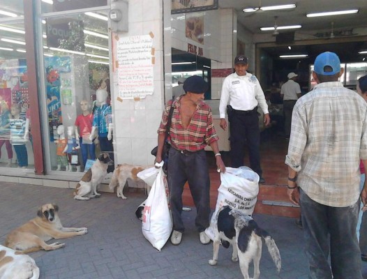 El encantador de perros hondureño