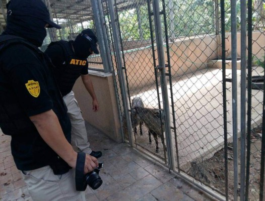 Honduras: Aseguran bienes a socio de banda criminal 'Los Cachiros'