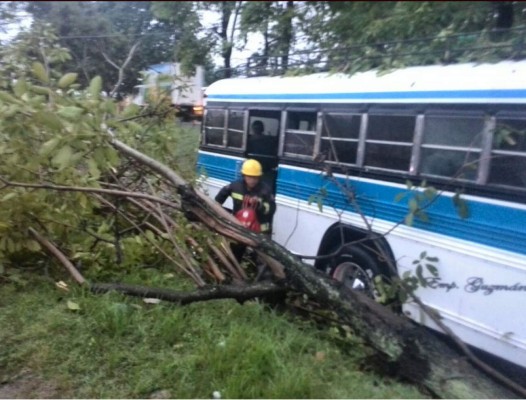 Al menos 40 heridos en accidente vial en Potrerillos, Cortés