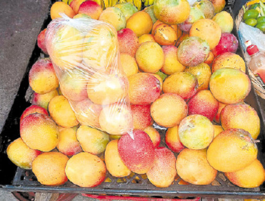 Productores de mango piden apoyo