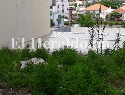 Noticias de Honduras y el mundo de hoy lunes 02/10/2017