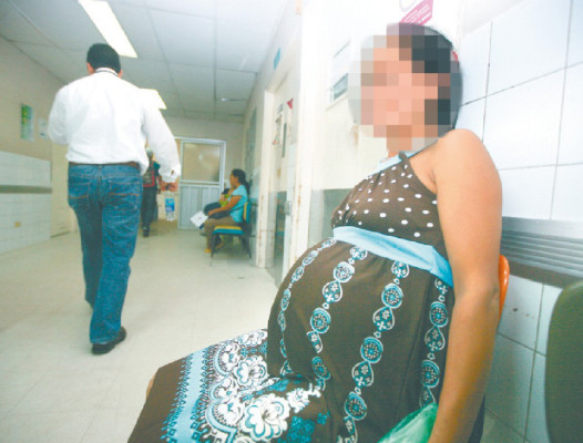 Gatos son portadores de parásito abortivo