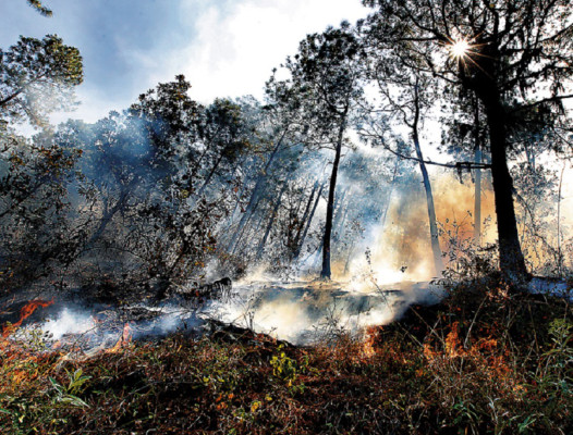La capital de Honduras está sitiada por los incendios forestales