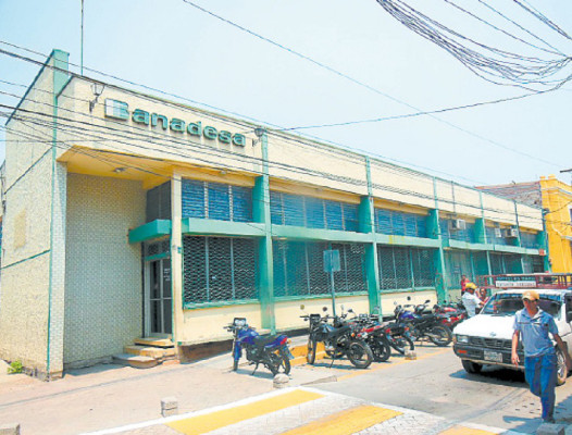 Banadesa brindará apoyo a productores de arroz