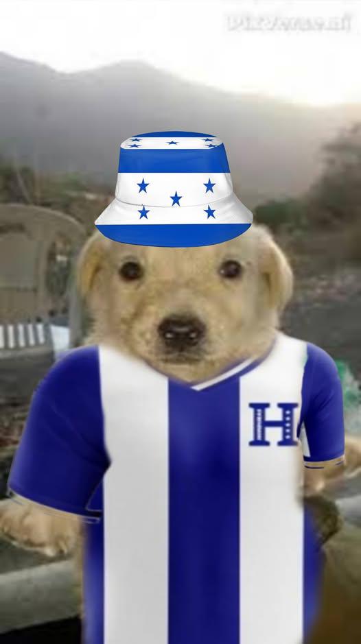 ¡No perdonan! Los divertidos memes que dejó la eliminación de México a Honduras en Copa Oro