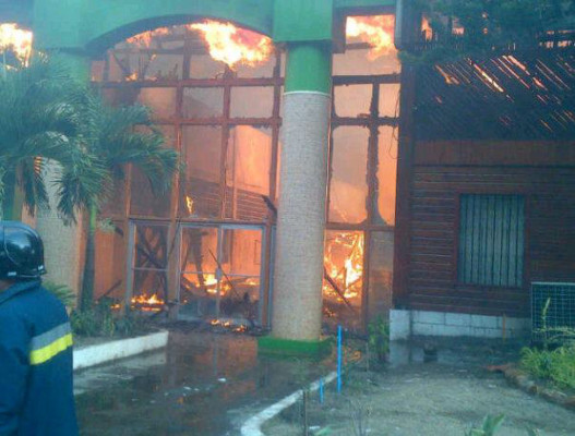 Voraz incendio reduce a cenizas del Instituto de Conservación Forestal