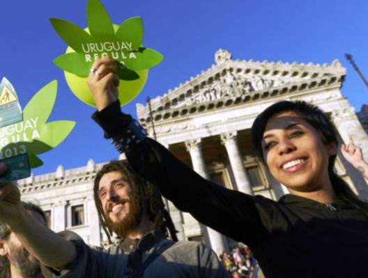 Usuarios de marihuana serán protegidos