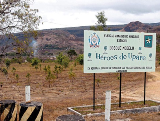 Héroes de Upare: Hoy se recuerda a los mártires del bosque hondureño