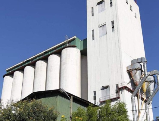 IHMA dispone L. 70 millones para compra de granos básicos