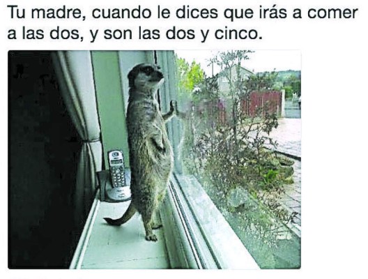 Acá están los mejores Catrachistes de la semana