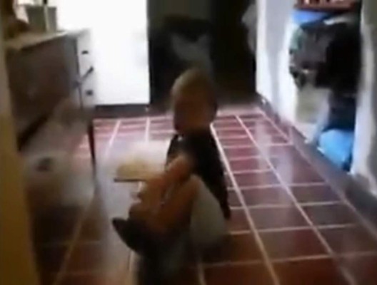 El video de 'un duende' sorprende al mundo