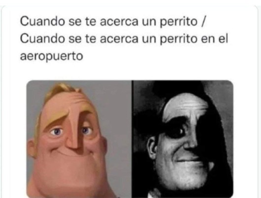 Estos fueron los mejores memes que marcaron el 2021 (FOTOS)