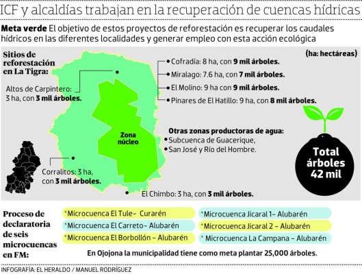 Se reforestan 17 cuencas en el DC y municipios aledaños
