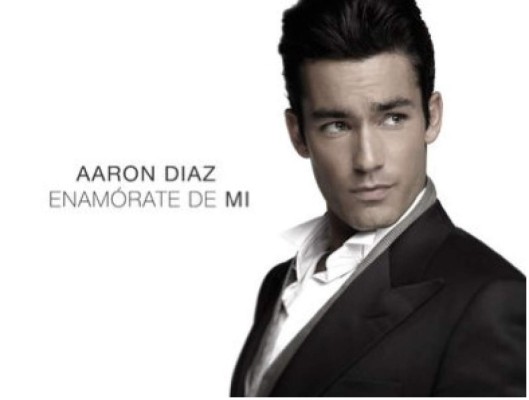 Estrellas que fracasaron como cantantes