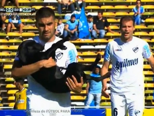 VIDEO: Perro se roba show dos veces en Belgrano-Quilmes