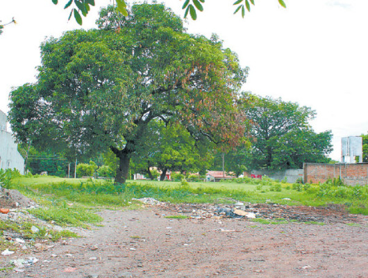 Pretenden construir escuela de artes en la sultana del sur